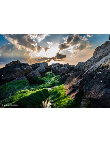 Sony FE 24-70mm f/2.8 G Master II... Sony FE 24-70mm f/2.8 G Master II...