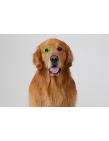 Sony Alpha 6400 + 18-135mm OSS...