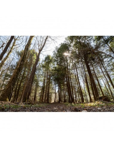 Sigma 16-28mm f/2.8 DG DN...