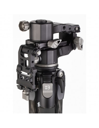 Benro GH-2F Testa cardanica richiudibile