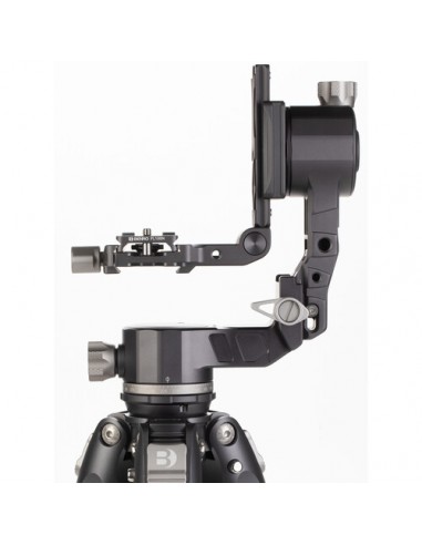Benro GH-2F Testa cardanica richiudibile