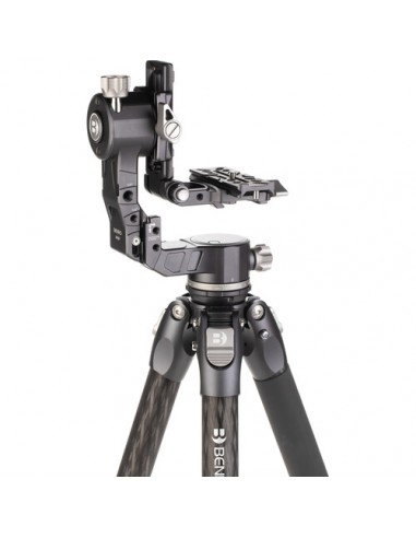 Benro GH-2F Testa cardanica richiudibile
