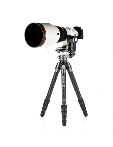 Benro GH-2F Testa cardanica richiudibile
