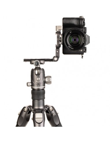 Benro GH-2F Testa cardanica richiudibile