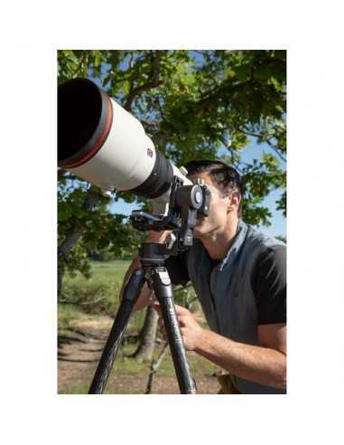 Benro GH-2F Testa cardanica richiudibile