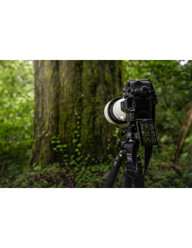 Sony Alpha 7R V Body (ILCE-7RM5)