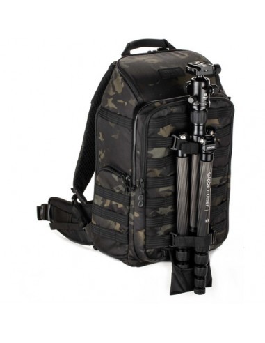 Tenba Zaino AXIS V2 24L