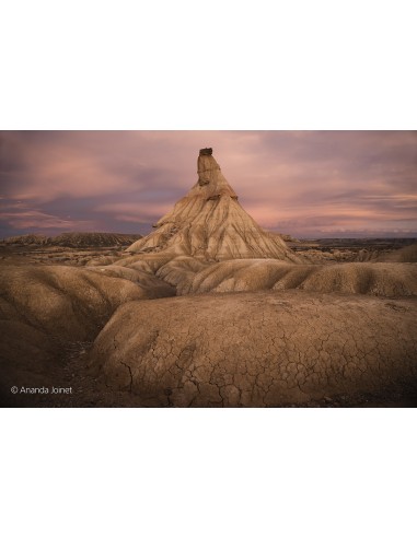 Sony FE 20-70mm f/4 G (SEL2070G)