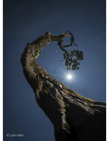 Sony FE 20-70mm f/4 G (SEL2070G)