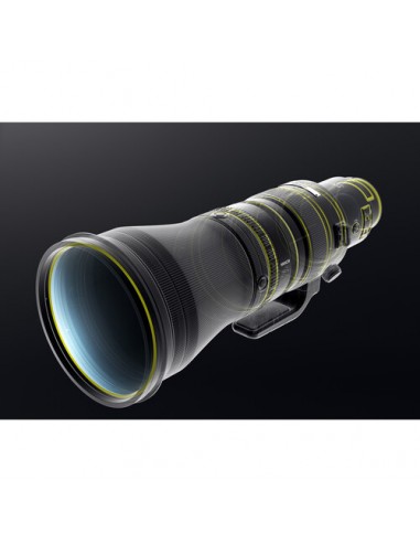 Nikon NIKKOR Z 600mm f/4 TC VR S