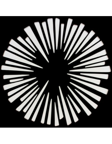 Nanlite PJ-BM-19 proiettore con... Nanlite PJ-BM-19 proiettore con...