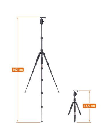 Rollei Traveler No. 1 (Carbonio)