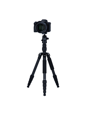 Rollei Traveler No. 1 (Carbonio)