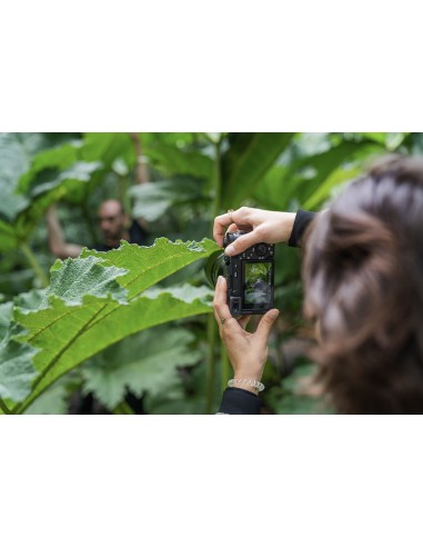 Sony Alpha 7C R Body Nero (ILCE-7CRB)