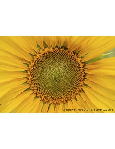 Sony FE 16-35mm f/2.8 G Master II...