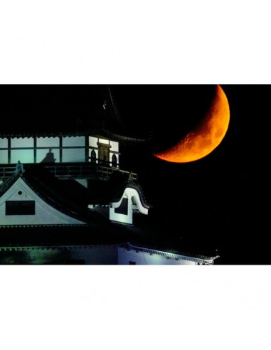 Tokina SZ REFLEX MF 900mm f/11 PRO...