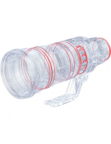 Canon RF 100-300mm f/2.8 L IS USM