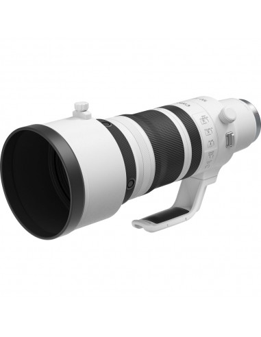 Canon RF 100-300mm f/2.8 L IS USM