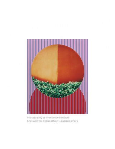 Polaroid i-Type Retinex Edition (16...