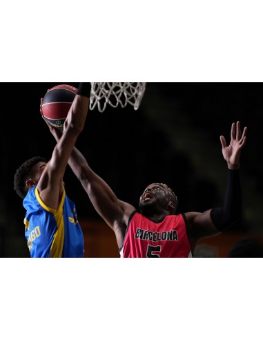 Sony FE 300mm f/2.8 GM OSS (SEL300F28GM)