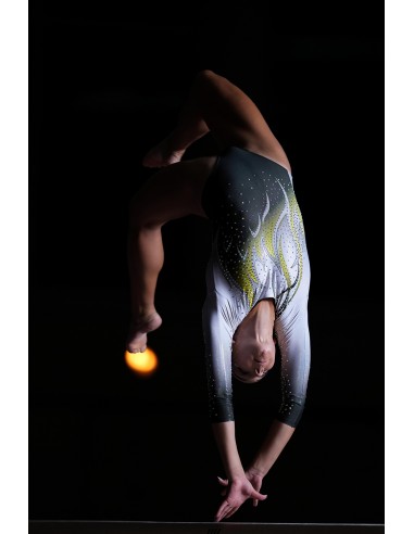 Sony FE 300mm f/2.8 GM OSS (SEL300F28GM)