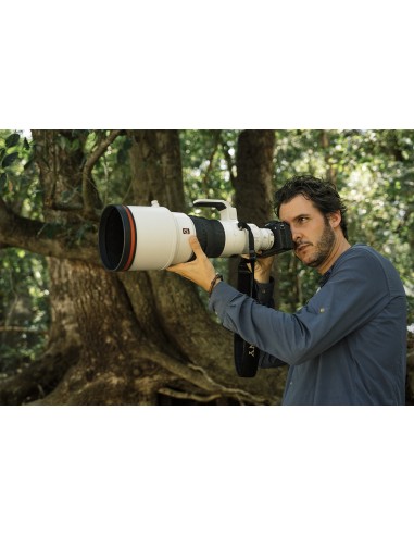 Sony Alpha 9 Mark III (ILCE-9M3)