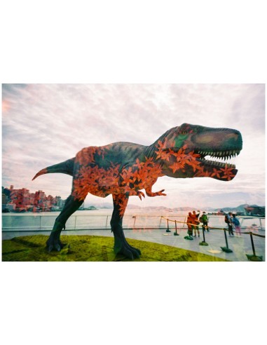 Lomography LomoApparat - Fotocamera...