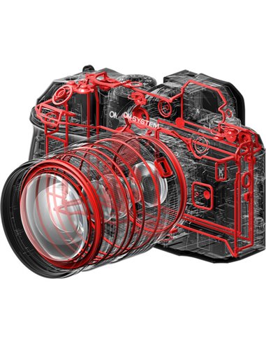 OM System OM-1 Mark II + M.Zuiko Pro 12-40mm f/2.8 II