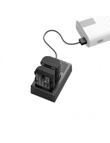 SmallRig 3821 kit caricabatterie e...