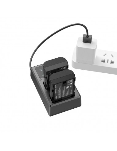 SmallRig 3821 kit caricabatterie e...