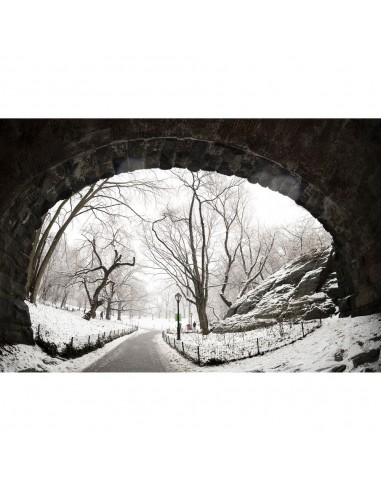 Sigma 15mm f/1.4 DG DN Fisheye...