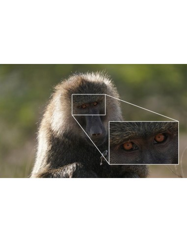 Sony FE 200-600mm f/5.6-6.3 G OSS... Sony FE 200-600mm f/5.6-6.3 G OSS...