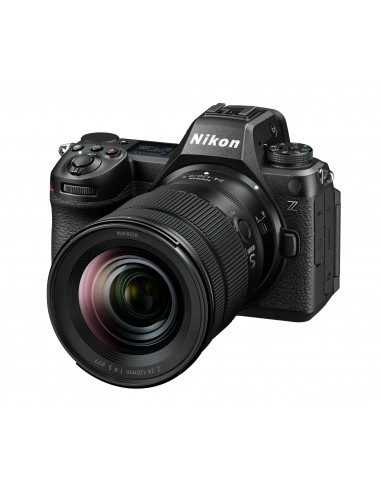 Nikon Z6 III + 24-120mm f/4 S VR Nikon Z6 III + 24-120mm f/4 S VR