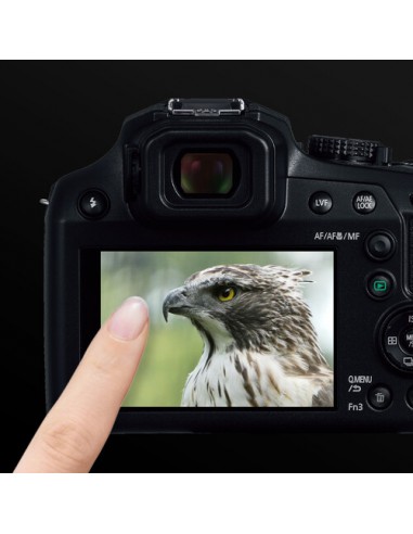 Panasonic Lumix FZ82D (DC-FZ82D)