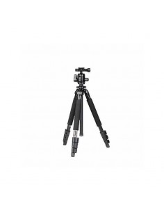 Benro A250F + Testa N00