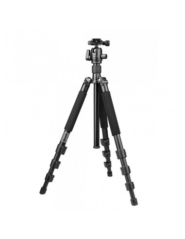 Benro A250F + Testa N00