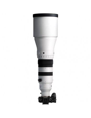 Sigma 300-600mm f/4 DG OS Sports...