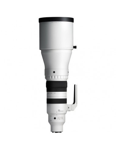 Sigma 300-600mm f/4 DG OS Sports...