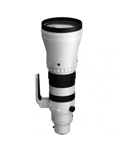 Sigma 300-600mm f/4 DG OS Sports...