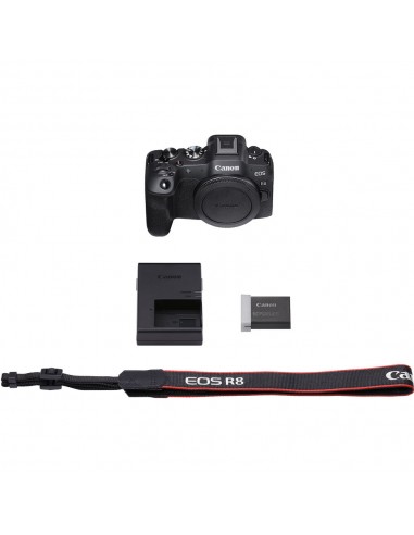 Canon EOS R8 + RF 24-105mm f/4-7.1 Canon EOS R8 + RF 24-105mm f/4-7.1