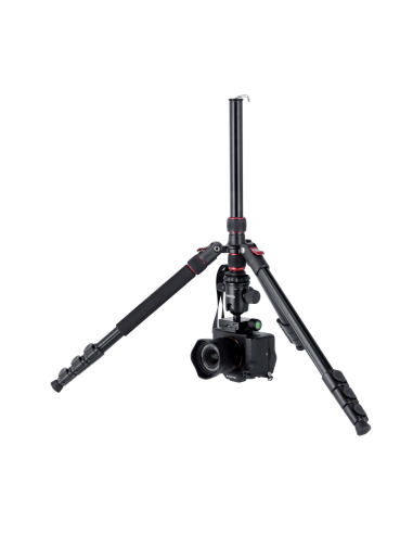 Rollei Compact Traveler No. 2 -...