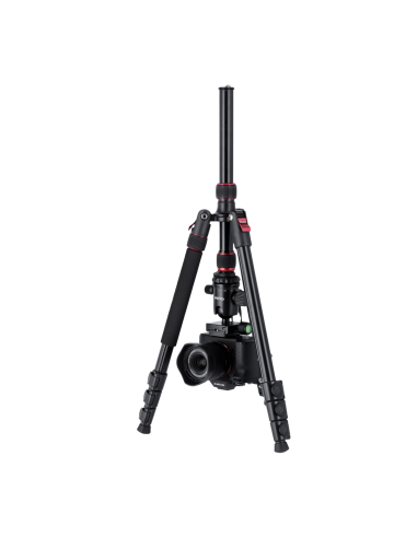 Rollei Compact Traveler No. 2 -...