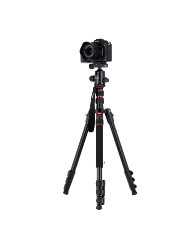 Rollei Compact Traveler No. 2 -...