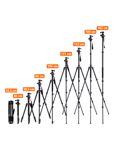 Rollei Compact Traveler No. 2 -...