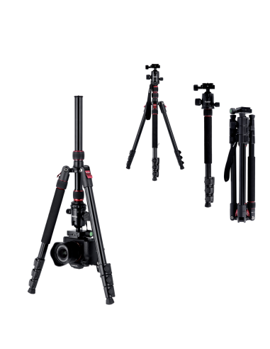 Rollei Compact Traveler No. 2 -...