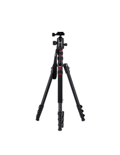 Rollei Compact Traveler No....