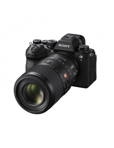 Sony FE 100mm f/2.8 Macro G Master...