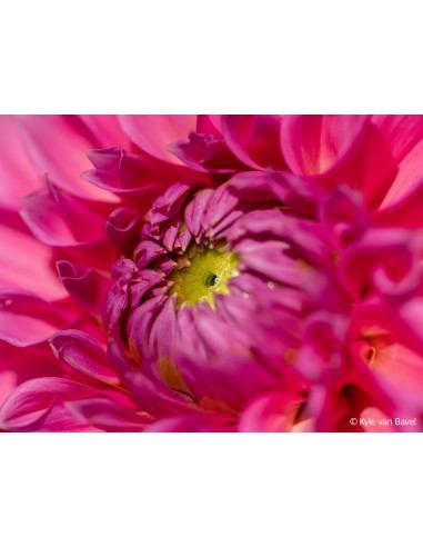 Sony FE 100mm f/2.8 Macro G Master...