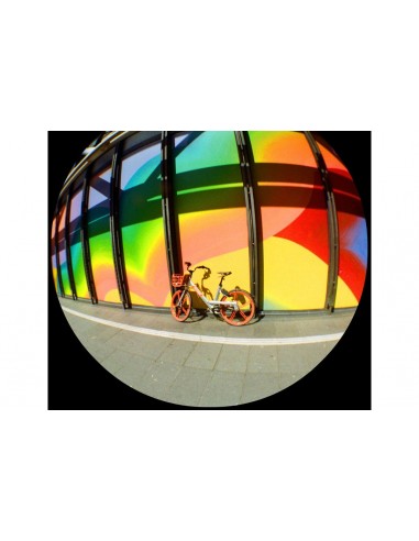 Lomography Fisheye No.2 - Grape Jam