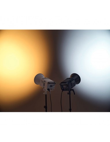 Godox Litemons LE300Bi torcia led...